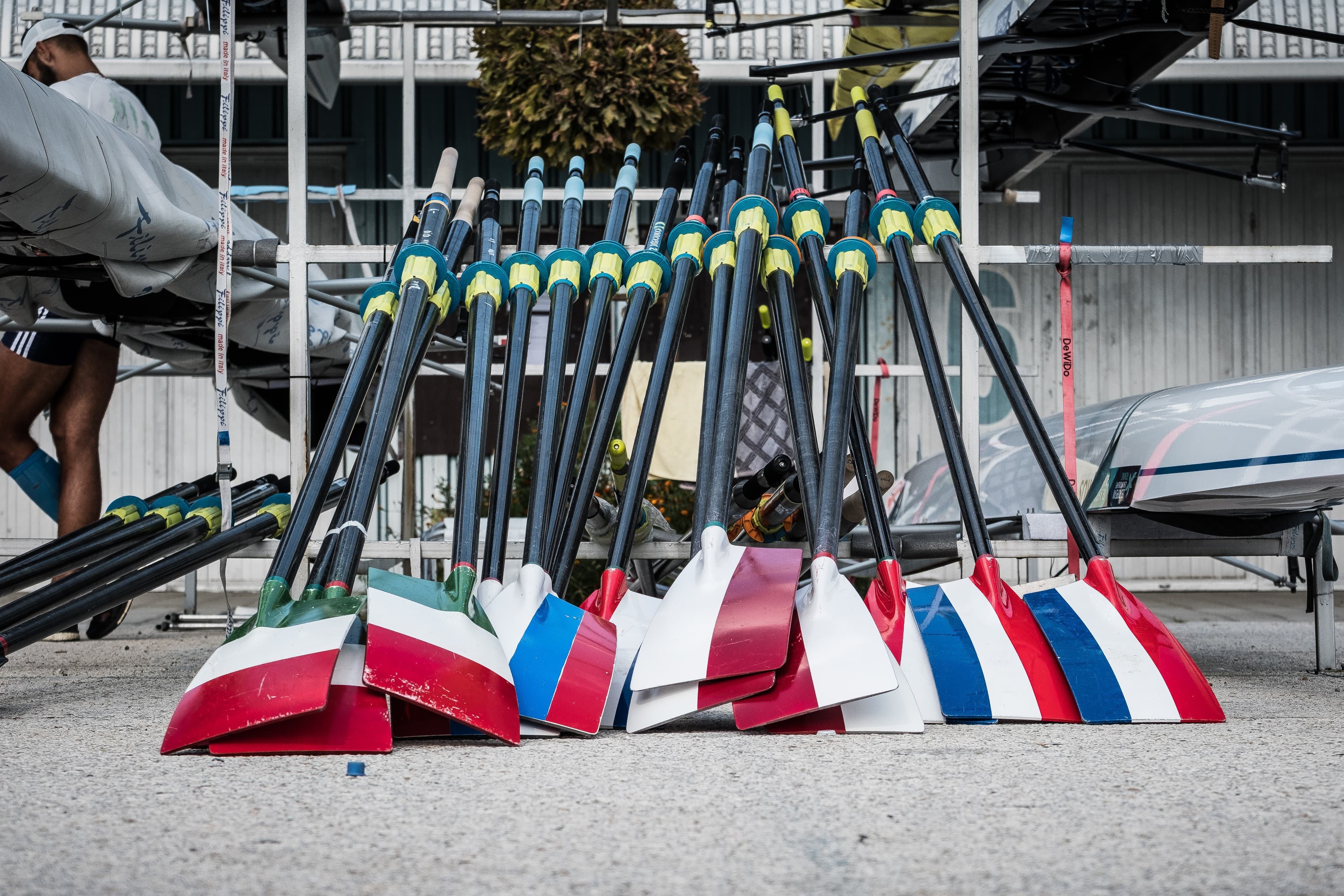 concept2 oars at boathouse